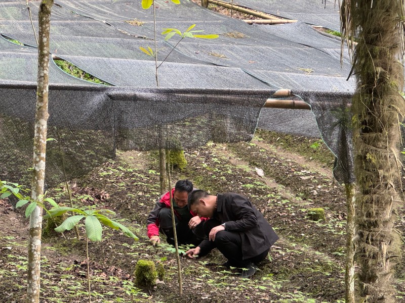 代表破解“致富难” 苦寻发展“药引子”——省人大代表何培友助农致富记