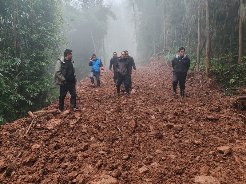 代表履职：畅通乡村振兴“毛细血管”  激活发展内生动力