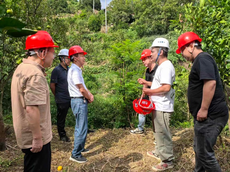 石棉：人大监督赋能 助推高山农业高质量发展