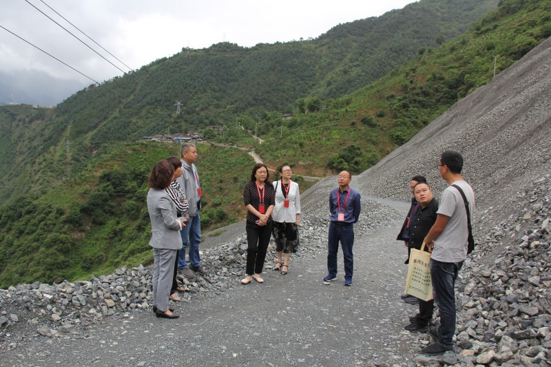 002视察组一行实地察看四川石棉矿板厂沟尾矿库整改情况.jpg