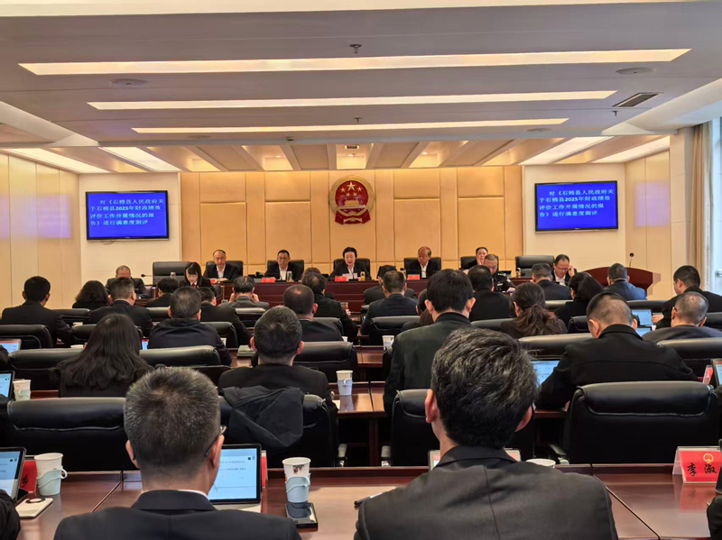 ԼЧ֮ ʽ֮Чʯ˴ίר2025Ч۹