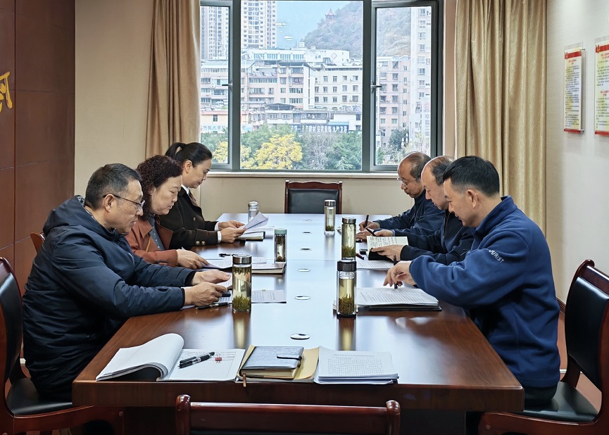 以民主生活会促整改 以实干担当谋新篇