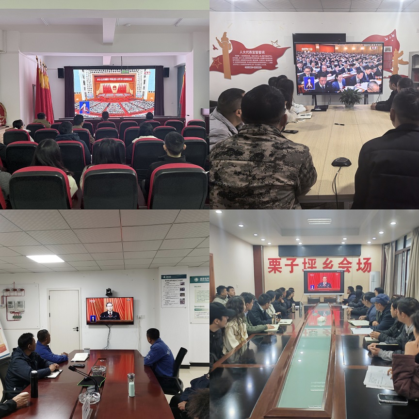 各乡镇人大组织人大代表、干部职工一起收看会议直播（一）.jpg