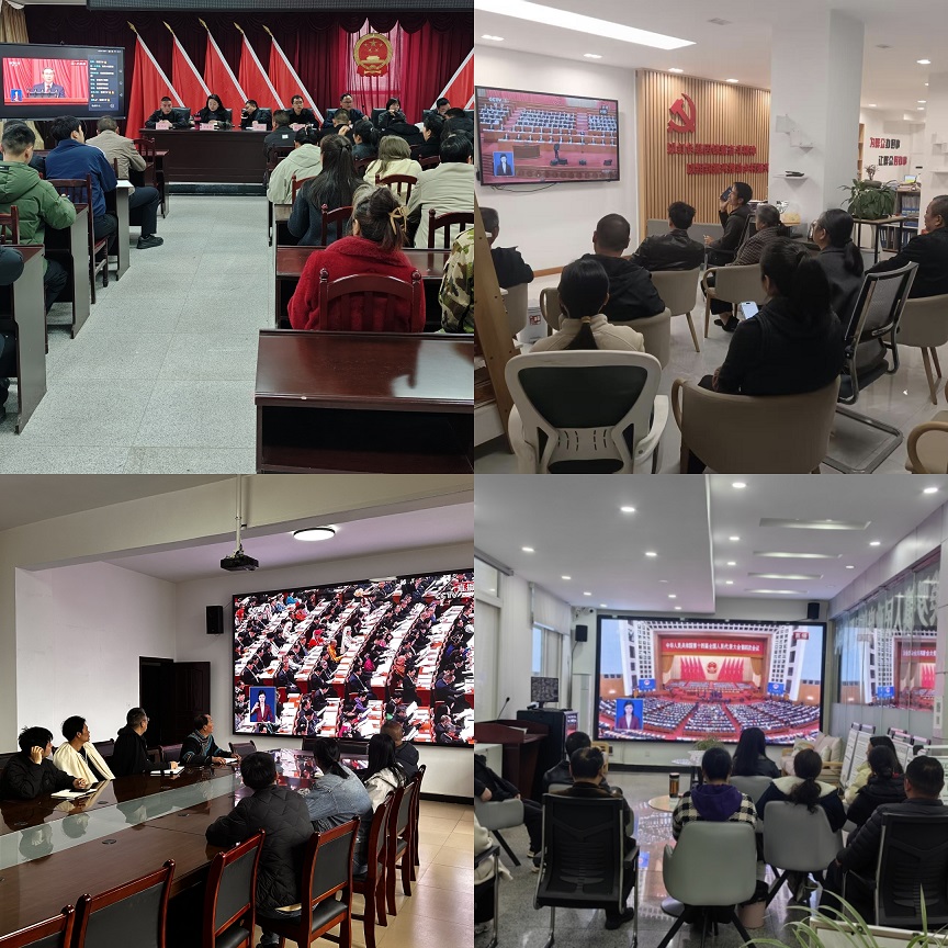 各乡镇人大组织人大代表、干部职工一起收看会议直播（二）.jpg