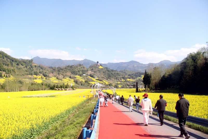 花香七里迎宾至 代表护航暖人心——人大代表王文兵助力“民俗节”侧记