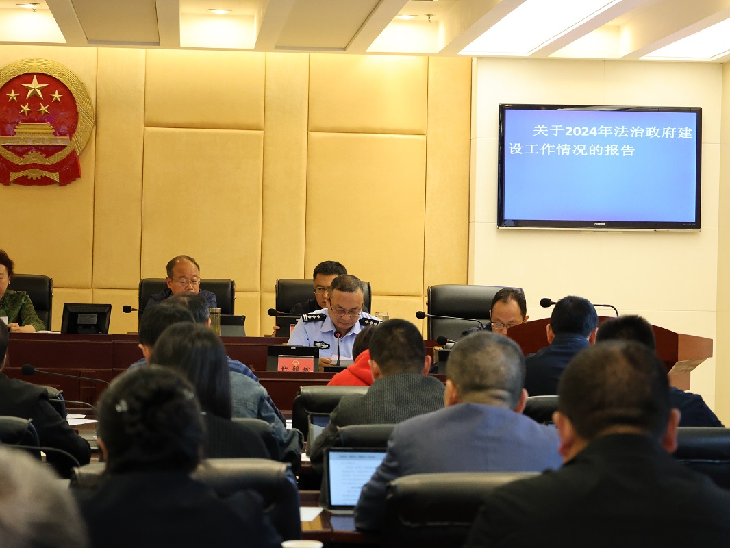 001常委会听取法治政府建设专项报告.JPG