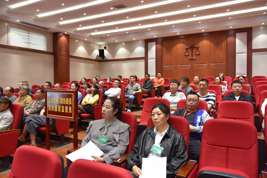 002人大代表参加旁听庭审.jpg