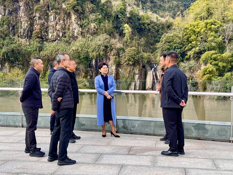 吴宏赴荥经调研人大工作