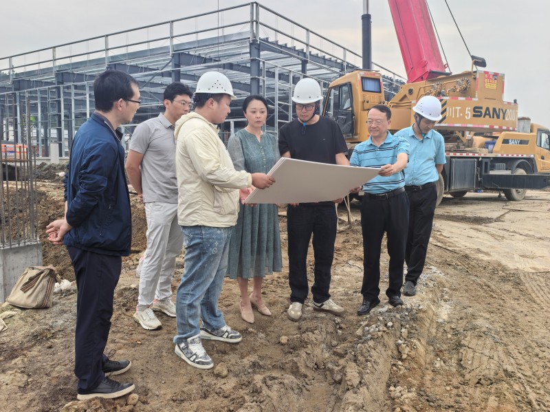 ��ǣ���������+���¸��ܡ� ����������ļලǿ��