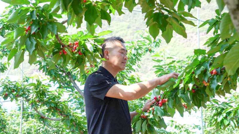 情系乡土守初心 履职尽责促振兴——汉源县人大代表冯建华