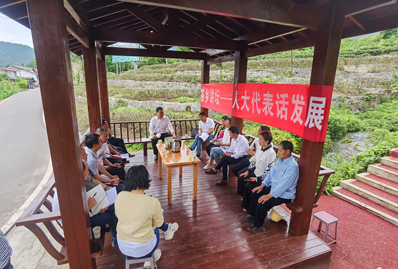 宝峰乡人大代表话发展_副本.jpg