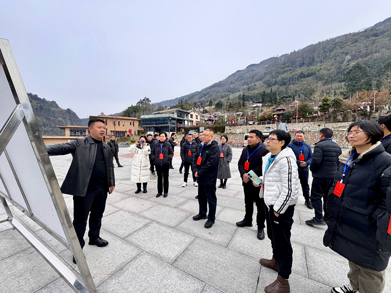 县人大代表视察调研民建青杠村农旅融合发展情况_副本.jpg