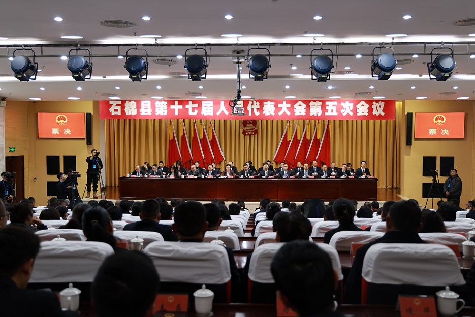 001县十七届人大五次会议审议通过将病媒生物防制纳入2026年民生实事票决项目.JPG