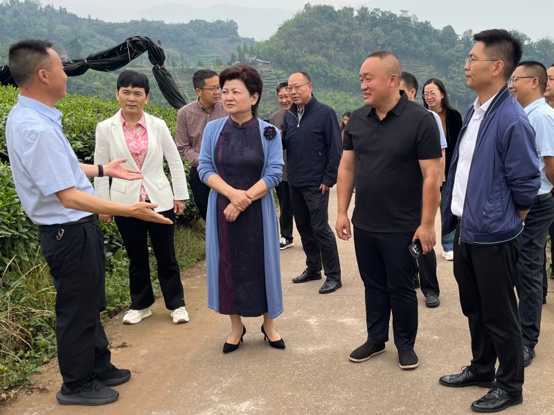 市人大常委会主任吴宏赴名山区调研茶产业发展情况1.jpg