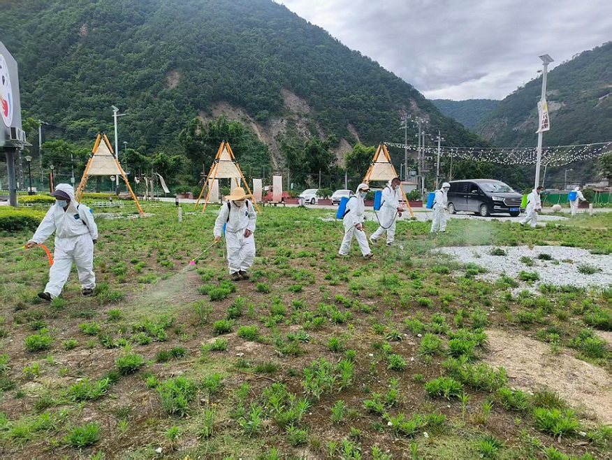 票决民生实事  筑牢健康屏障—石棉县人大监督推动病媒生物防制民生实事落地见效