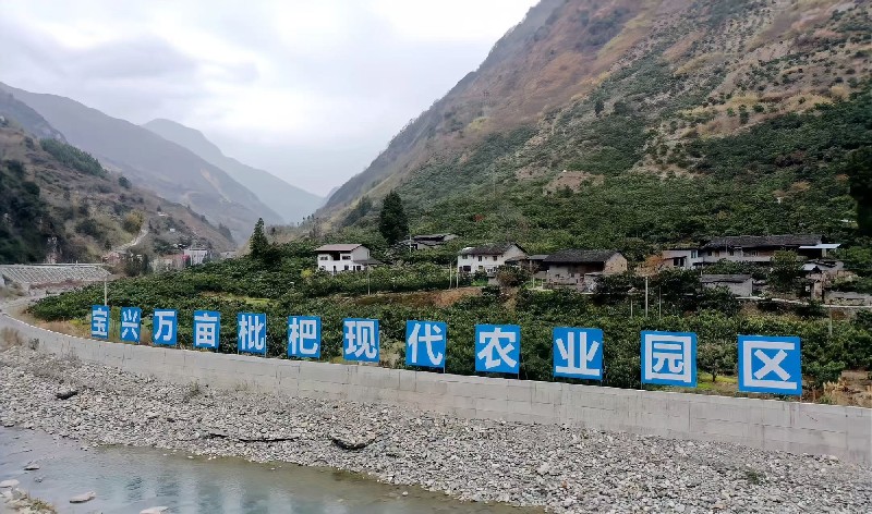 01枇杷产业园.jpg