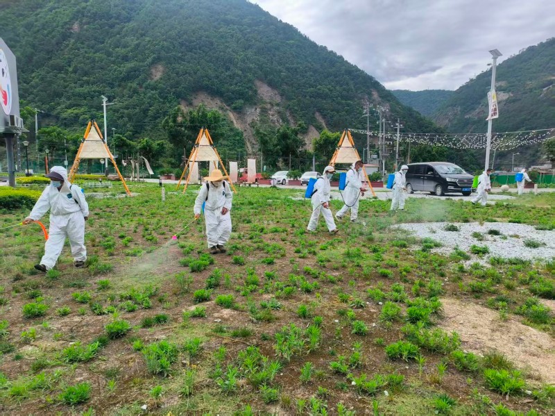 002王岗坪乡组织开展病媒生物防治消杀作业.jpg