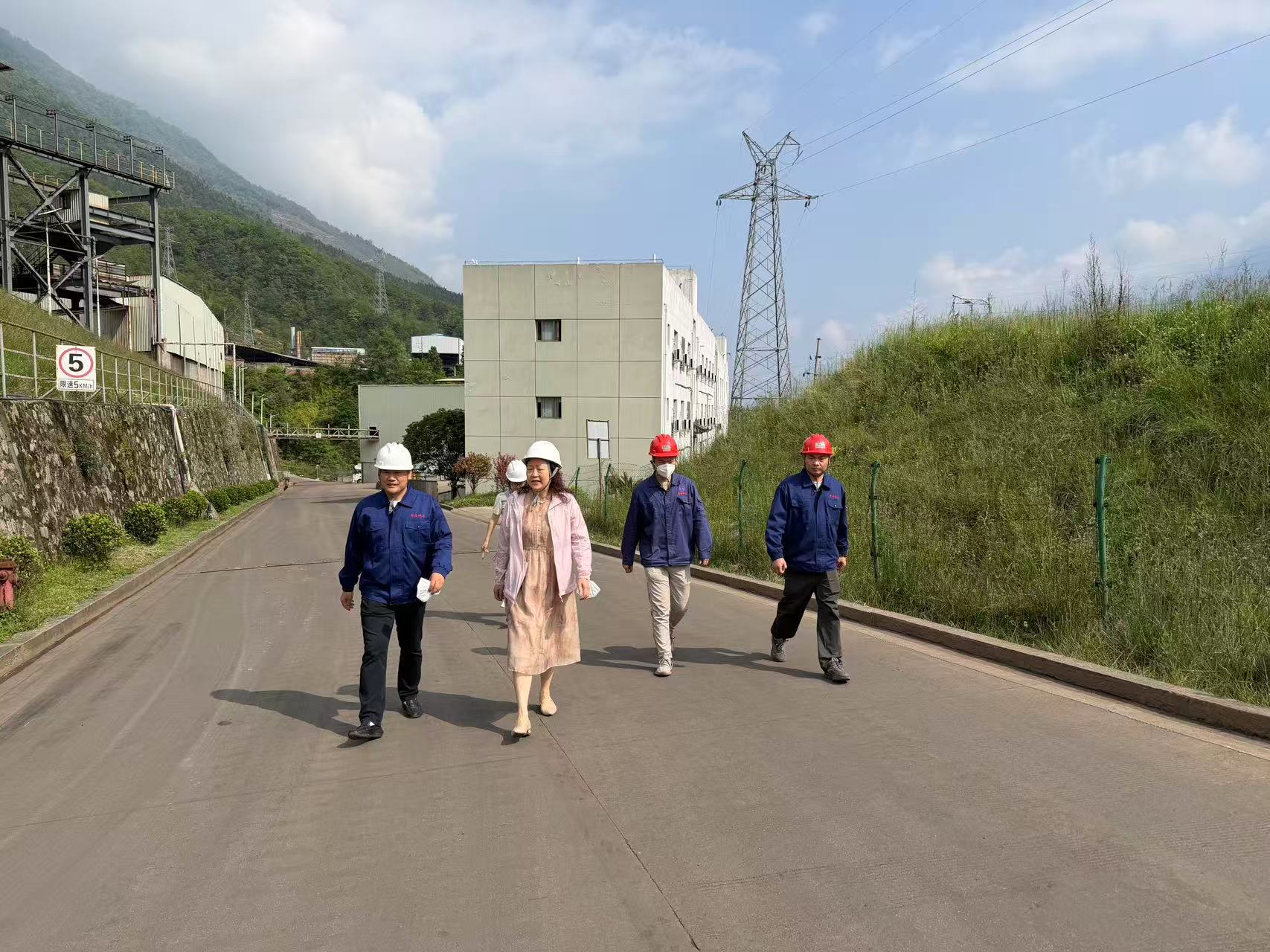 下沉一线问需于企 靠前服务助企纾困—县人大常委会主任邓西琼带队走访包联企业