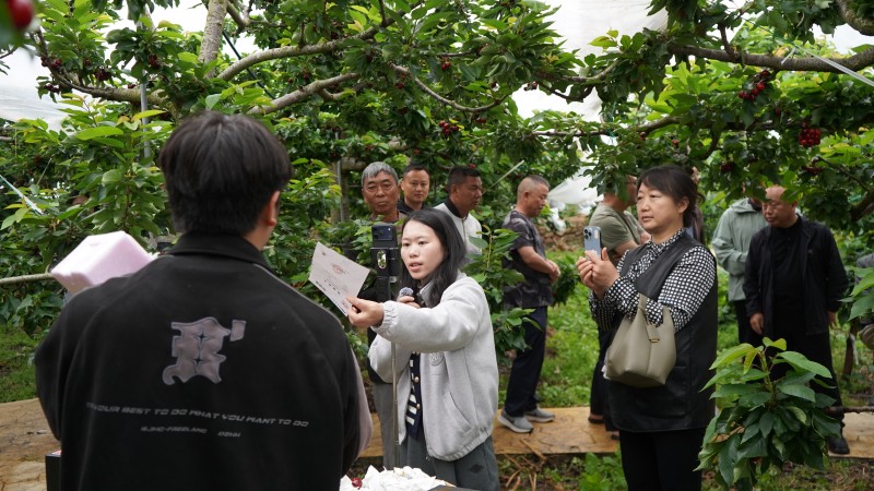 县人大代表周亚玲直播展示产品检测报告.jpg