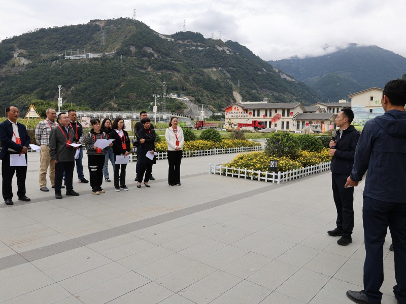 001县人大常委会组织代表到王岗坪乡集中视察景镇一体建设情况.jpg