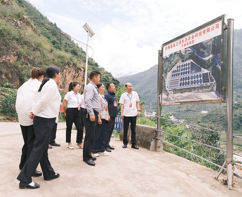 履职视察强监督　生态渔业助振兴—丰乐乡人大组织代表视察百亩生态循环养殖鱼项目