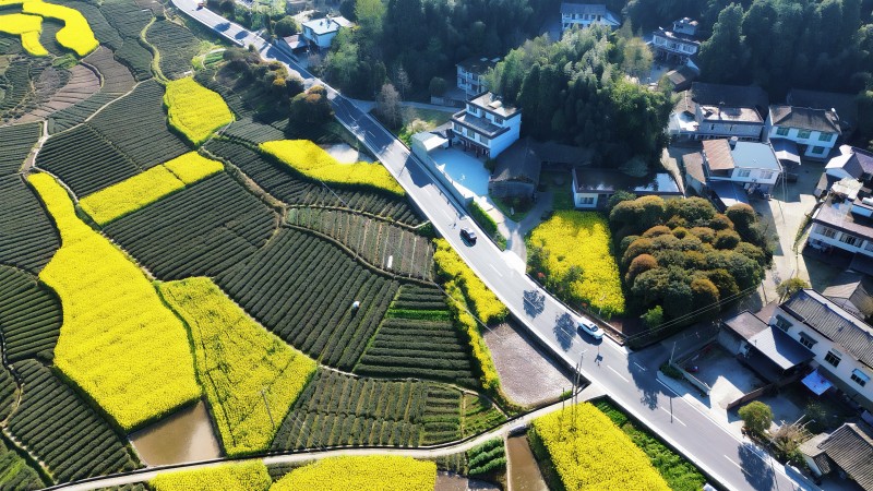 雅安市名山区蒙阳街道至中峰镇幸福美丽乡村路项目.jpg