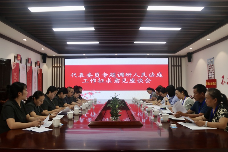 003石棉法院组织召开“代表委员专题调研人民法庭工作征求意见座谈会”.jpg