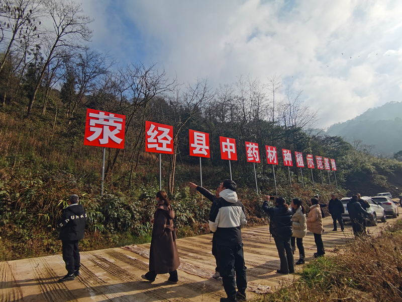 代表小组活动调研中药材基地建设_副本.jpg