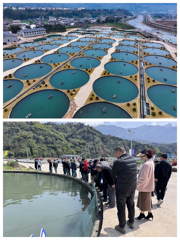 冷水鱼园区照片.jpg