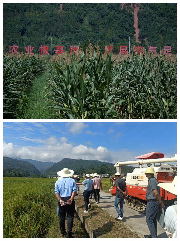 农业粮经复合园区照片.jpg