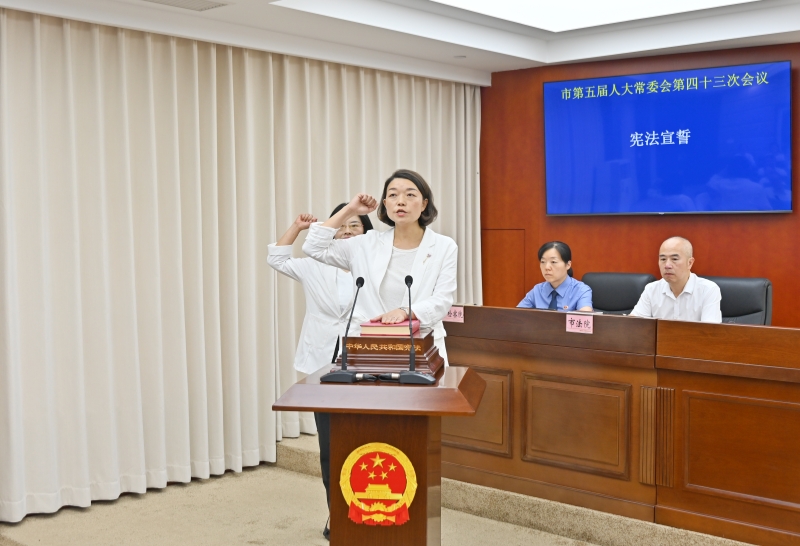 宪法宣誓.JPG
