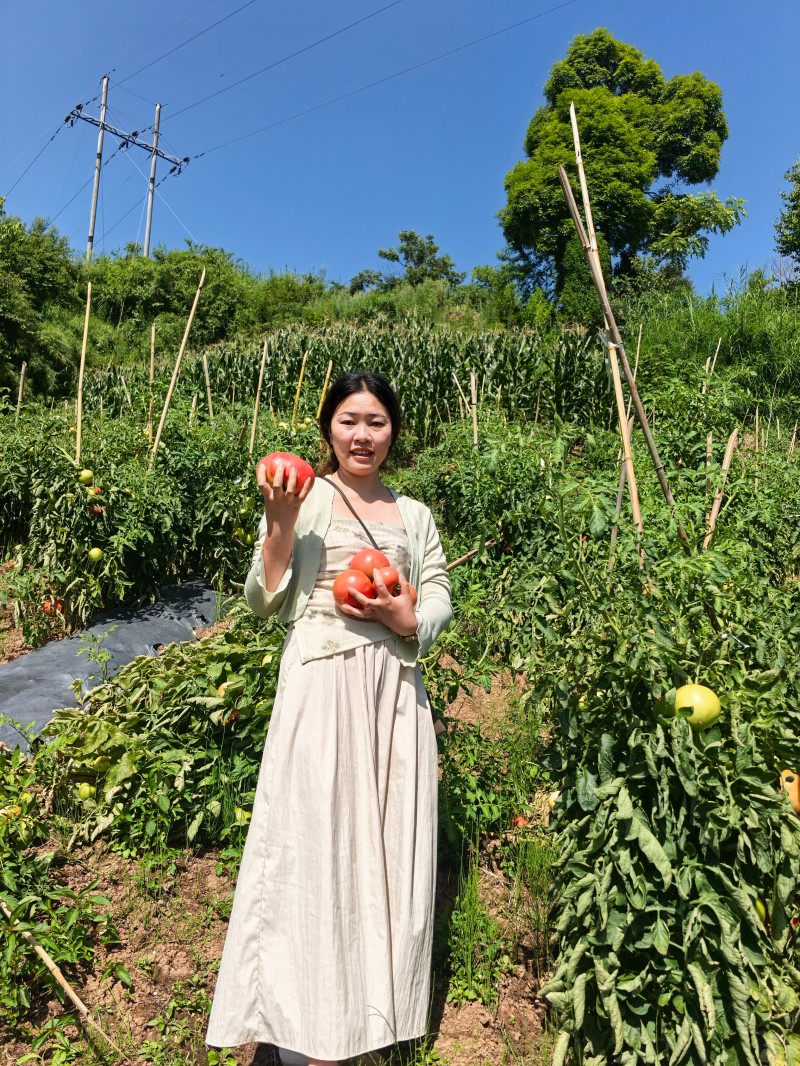 从荷塘到树莓，她把根扎在泥土里——天全县人大代表李娇的履职纪事