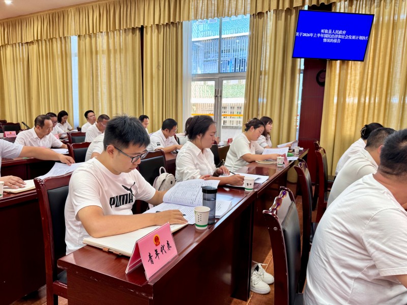 青年代表列席常委会会议.jpg