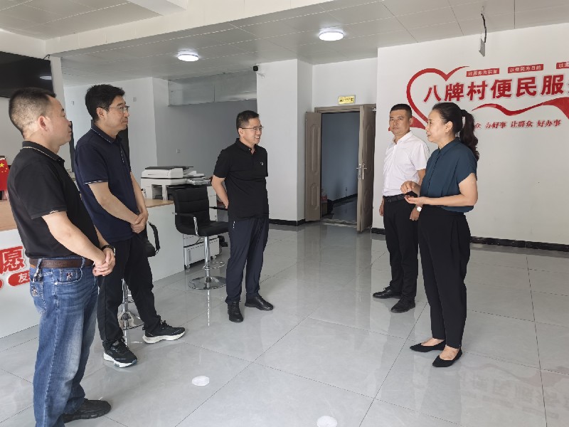 001市人大常委会副主任罗显泽到迎政乡调研换届工作情况_副本.jpg