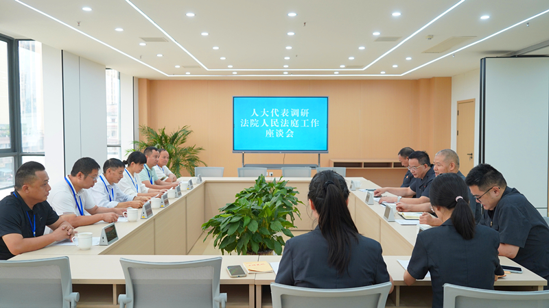 人大代表调研法庭工作座谈会_副本.jpg