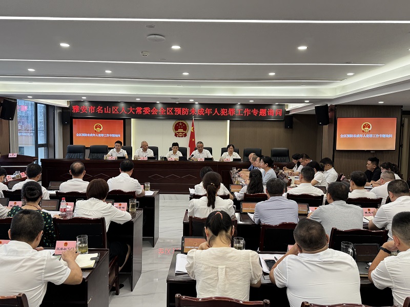 区人大常委会专题询问预防未成年人犯罪工作