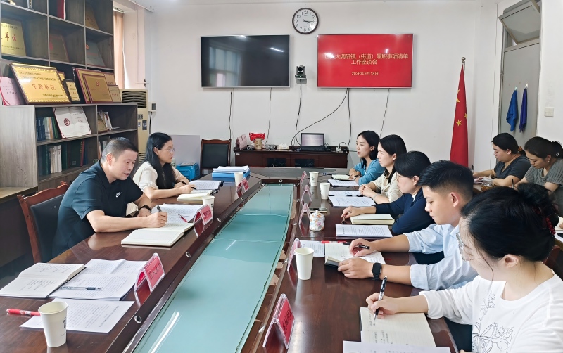 紧盯决议抓督办  基层减负见实效——雨城区人大常委会跟踪督导镇（街道）履职事项清单涉及政府履职事项决议落实情况