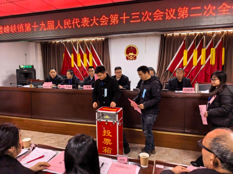碧峰峡镇人代会票决现场(1).jpg
